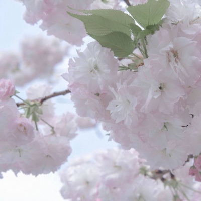 鹰手营子矿FurryQQ群介绍